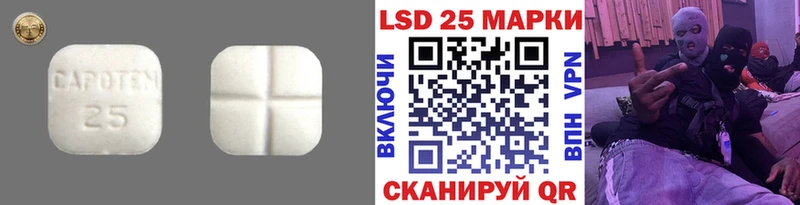 ссылка на мегу ТОР  Гаврилов-Ям  LSD-25 экстази ecstasy 