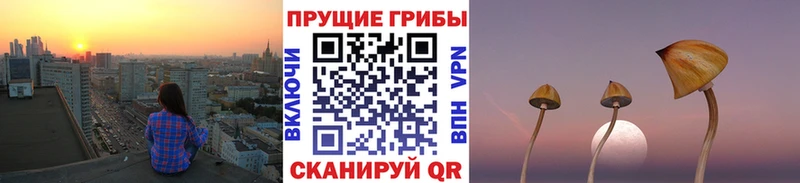 Галлюциногенные грибы Magic Shrooms  цены   Гаврилов-Ям 